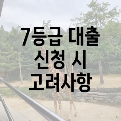 7등급 대출 신청 시 고려사항
