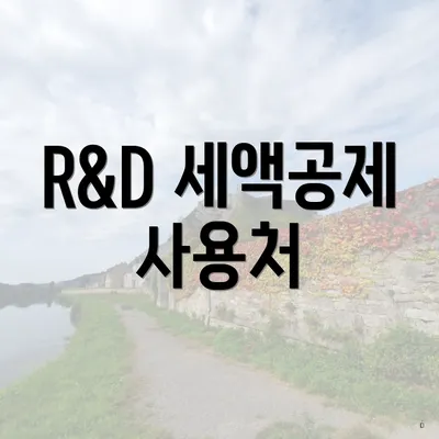 R&D 세액공제 사용처