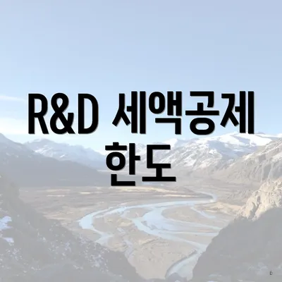 R&D 세액공제 한도