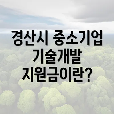 경산시 중소기업 기술개발 지원금이란?