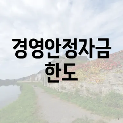 경영안정자금 한도