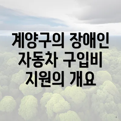 계양구의 장애인 자동차 구입비 지원의 개요