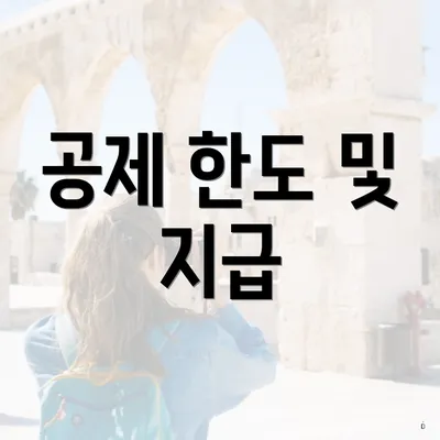 공제 한도 및 지급