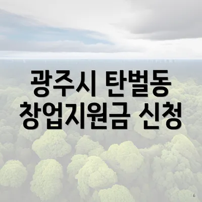 광주시 탄벌동 창업지원금 신청