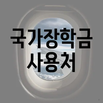 국가장학금 사용처