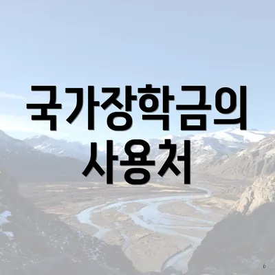 국가장학금의 사용처