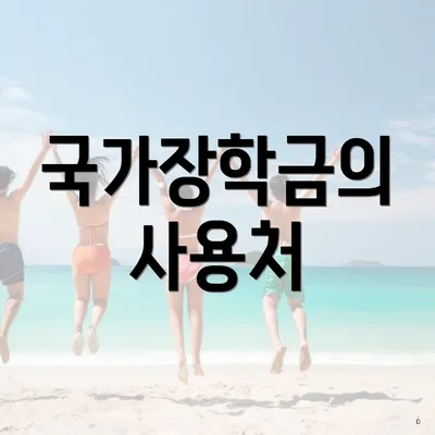 국가장학금의 사용처