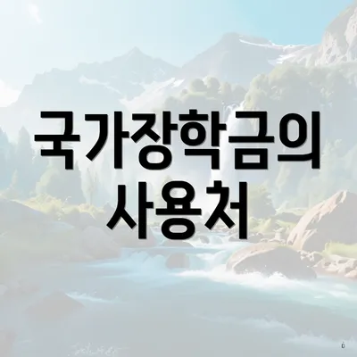 국가장학금의 사용처