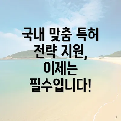 국내 맞춤 특허 전략 지원, 이제는 필수입니다!