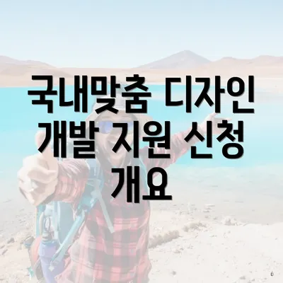 국내맞춤 디자인 개발 지원 신청 개요