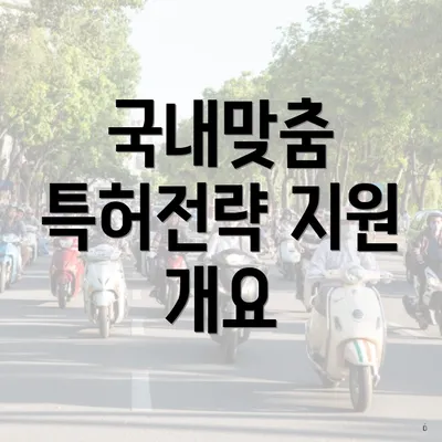 국내맞춤 특허전략 지원 개요