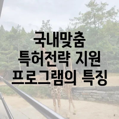 국내맞춤 특허전략 지원 프로그램의 특징