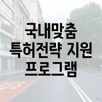 국내맞춤 특허전략 지원 프로그램