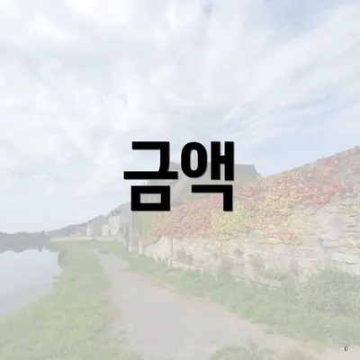 금액