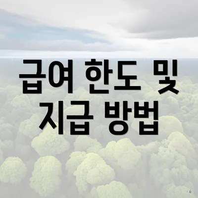 급여 한도 및 지급 방법