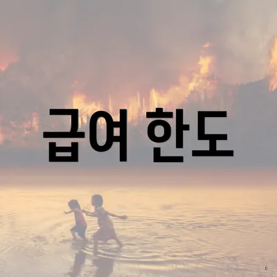 급여 한도