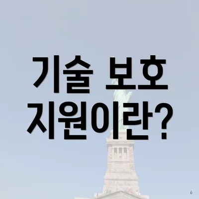 기술 보호 지원이란?