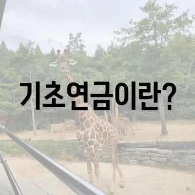 기초연금이란?