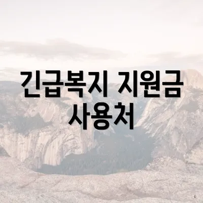 긴급복지 지원금 사용처