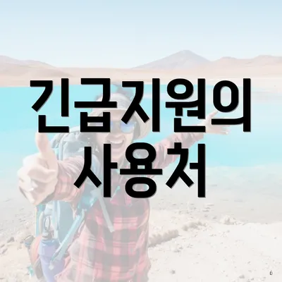 긴급지원의 사용처