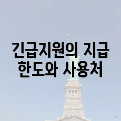 긴급지원의 지급 한도와 사용처