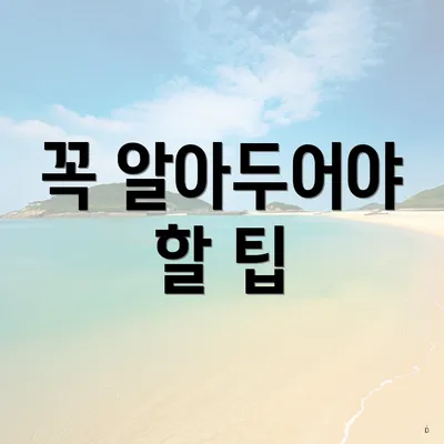 꼭 알아두어야 할 팁