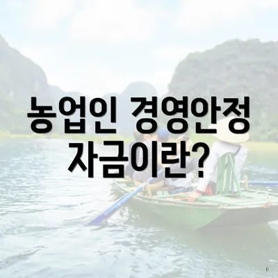 농업인 경영안정자금이란?