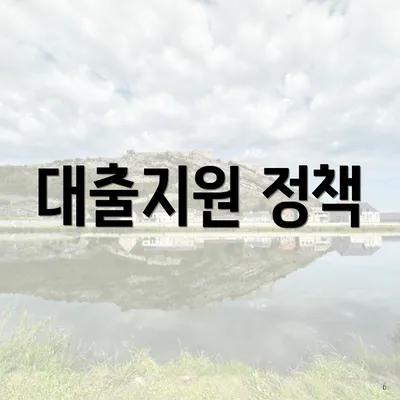 대출지원 정책