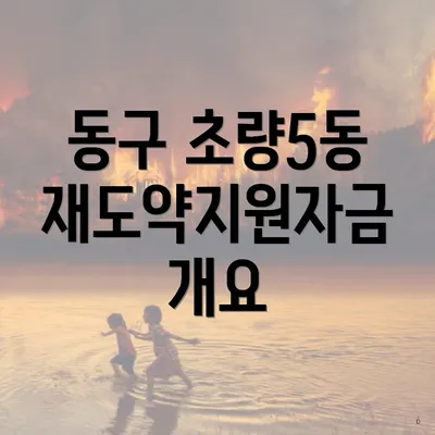 동구 초량5동 재도약지원자금 개요
