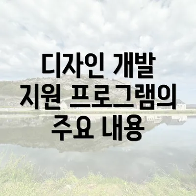 디자인 개발 지원 프로그램의 주요 내용