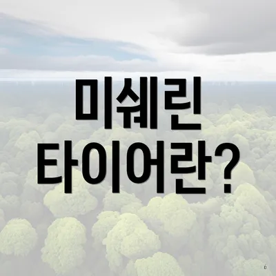 미쉐린 타이어란?
