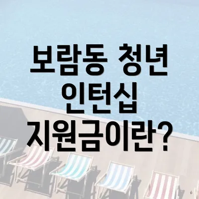 보람동 청년 인턴십 지원금이란?