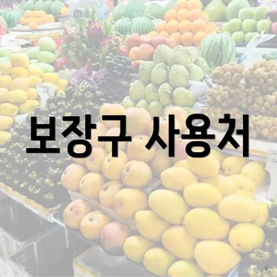 보장구 사용처