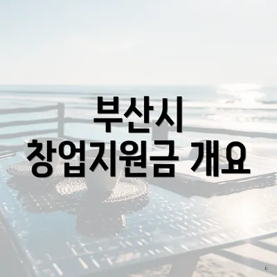 부산시 창업지원금 개요