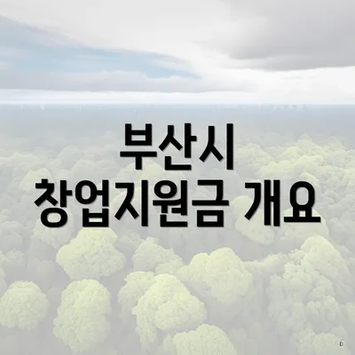 부산시 창업지원금 개요
