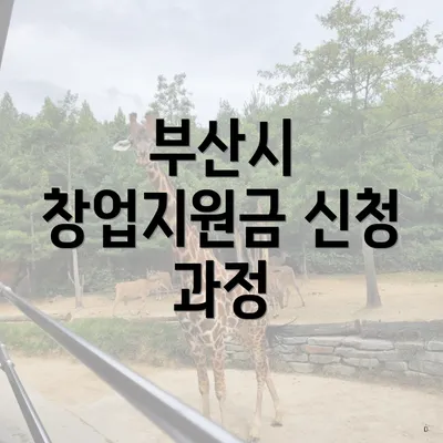 부산시 창업지원금 신청 과정