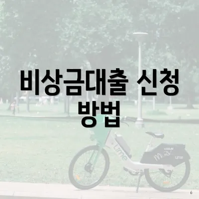 비상금대출 신청 방법