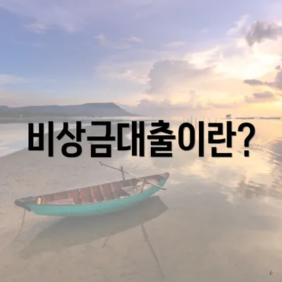 비상금대출이란?