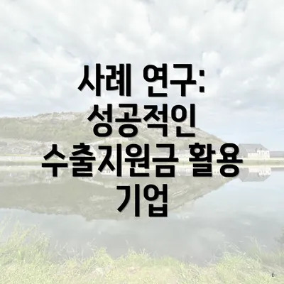 사례 연구: 성공적인 수출지원금 활용 기업