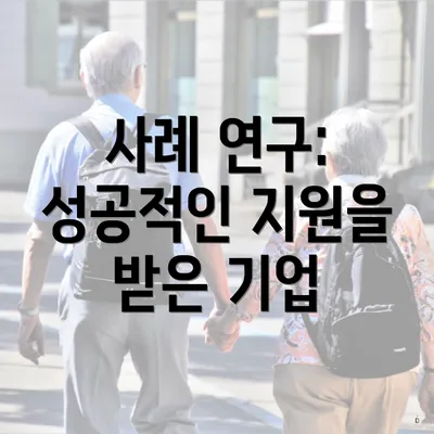 사례 연구: 성공적인 지원을 받은 기업