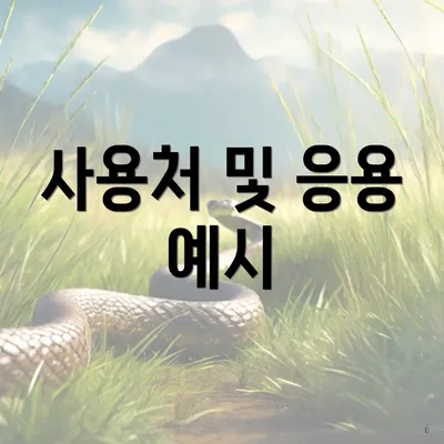 사용처 및 응용 예시
