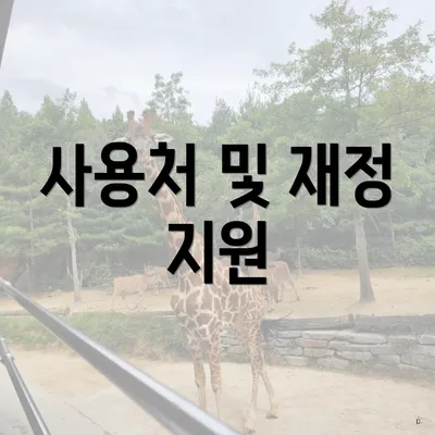사용처 및 재정 지원