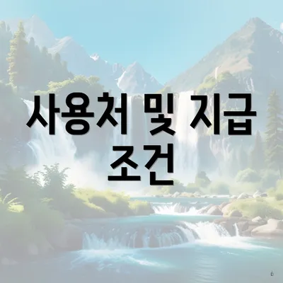사용처 및 지급 조건