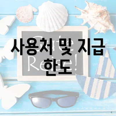 사용처 및 지급 한도