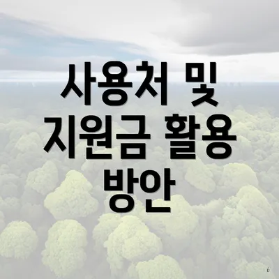 사용처 및 지원금 활용 방안