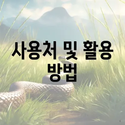 사용처 및 활용 방법