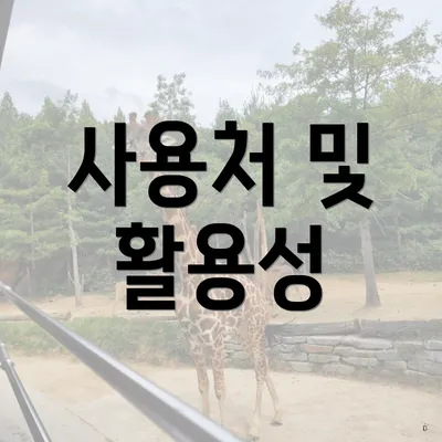 사용처 및 활용성
