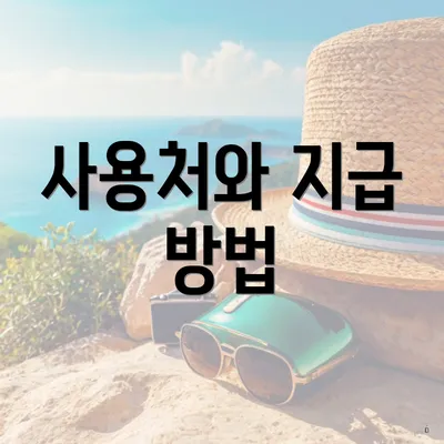 사용처와 지급 방법