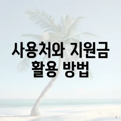 사용처와 지원금 활용 방법