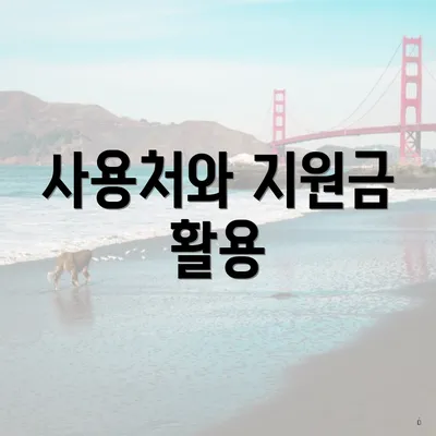 사용처와 지원금 활용